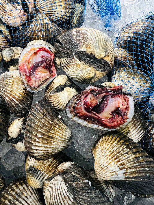 SÒ HUYẾT BLOOD CLAMS MEXICO (10lbs) FREE SHIP