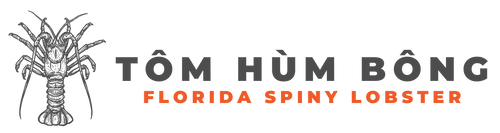 TOM HUM BONG 